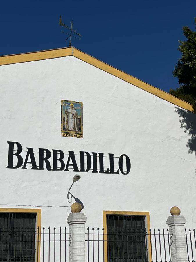En Sanlucar Daire Sanlúcar de Barrameda Dış mekan fotoğraf