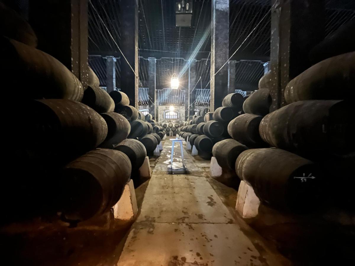 En Sanlucar Daire Sanlúcar de Barrameda Dış mekan fotoğraf